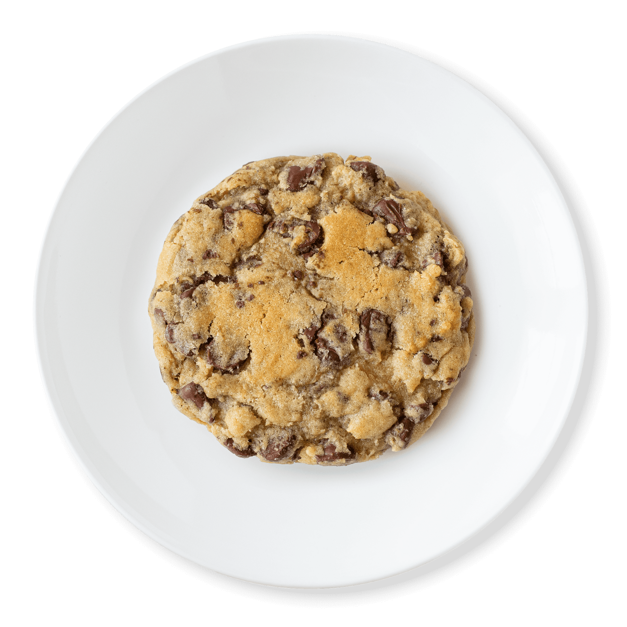 Non-Stop Chocolate Chip Cookie