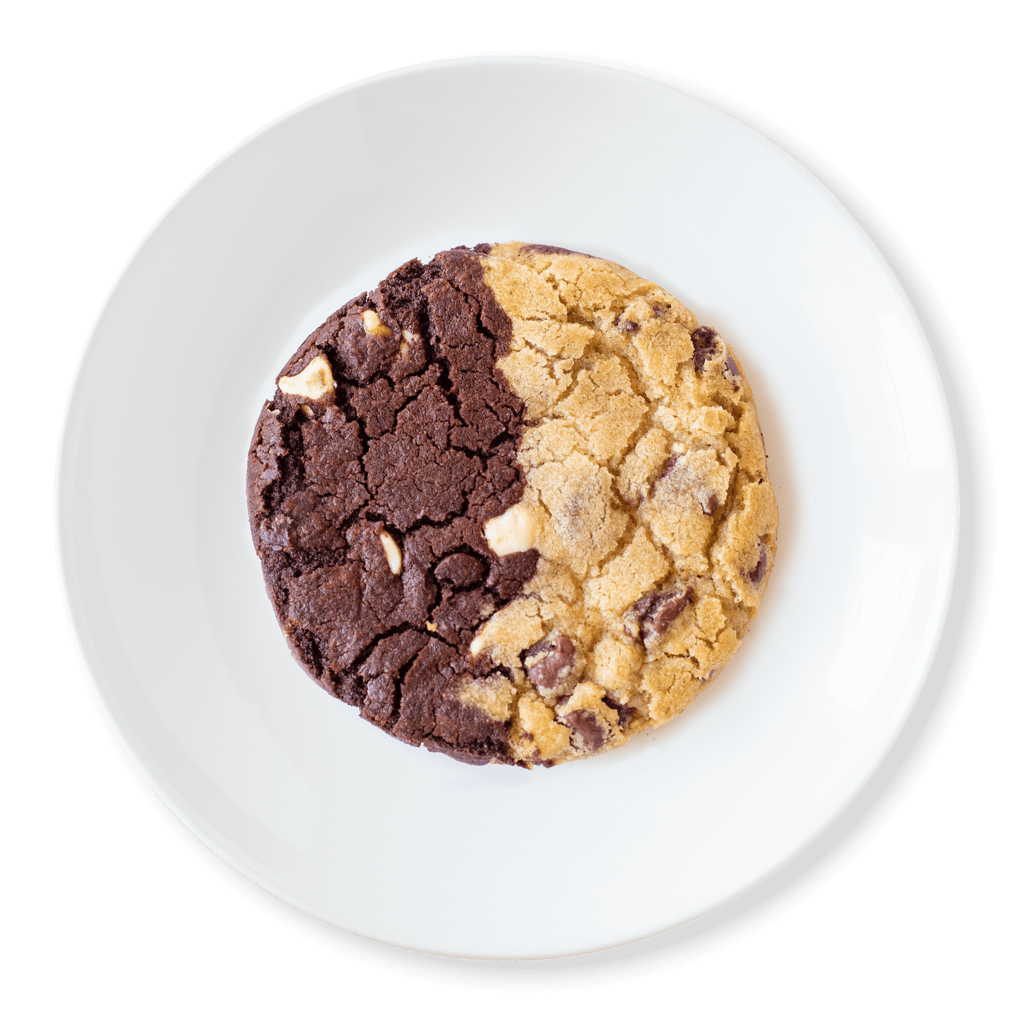 Chocolate Swirl Cookie