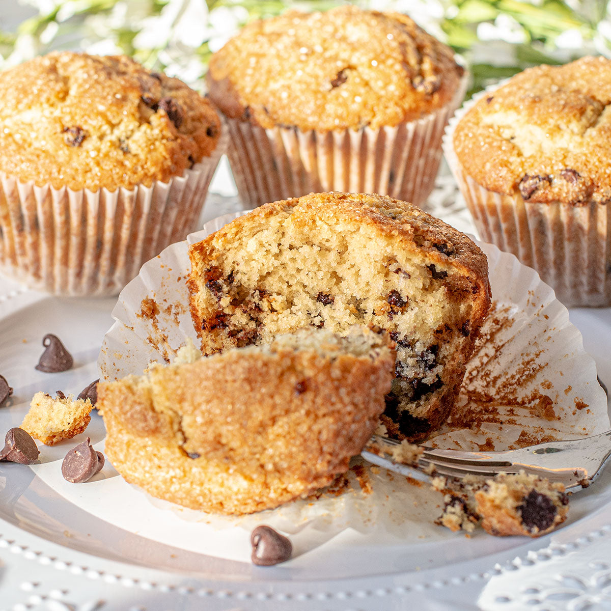 Chocolate Chip Muffin