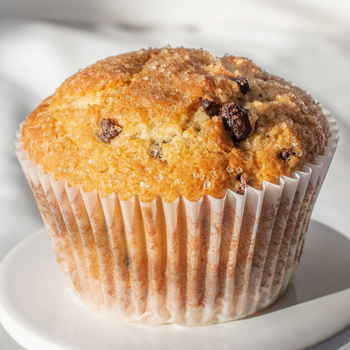 Chocolate Chip Muffin