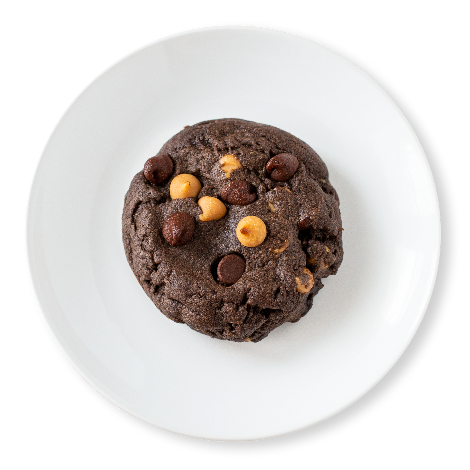 Chocolate Peanut Butter Cookie