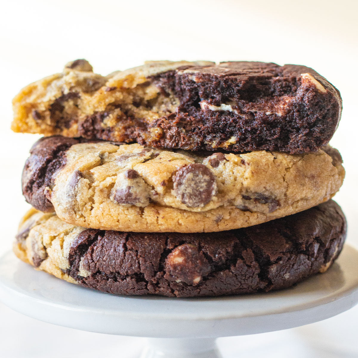 Chocolate Swirl Cookie