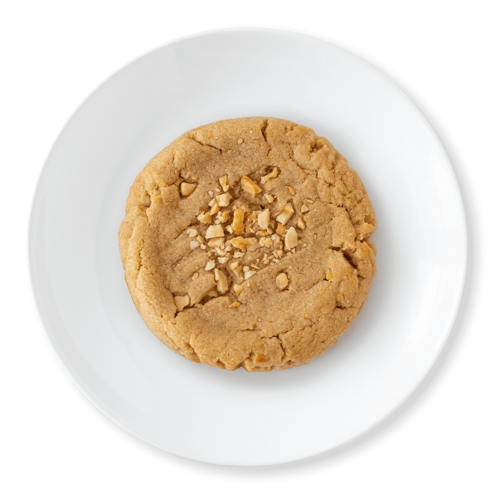 Peanut Butter Cookie